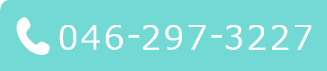 TEL:046-297-3227